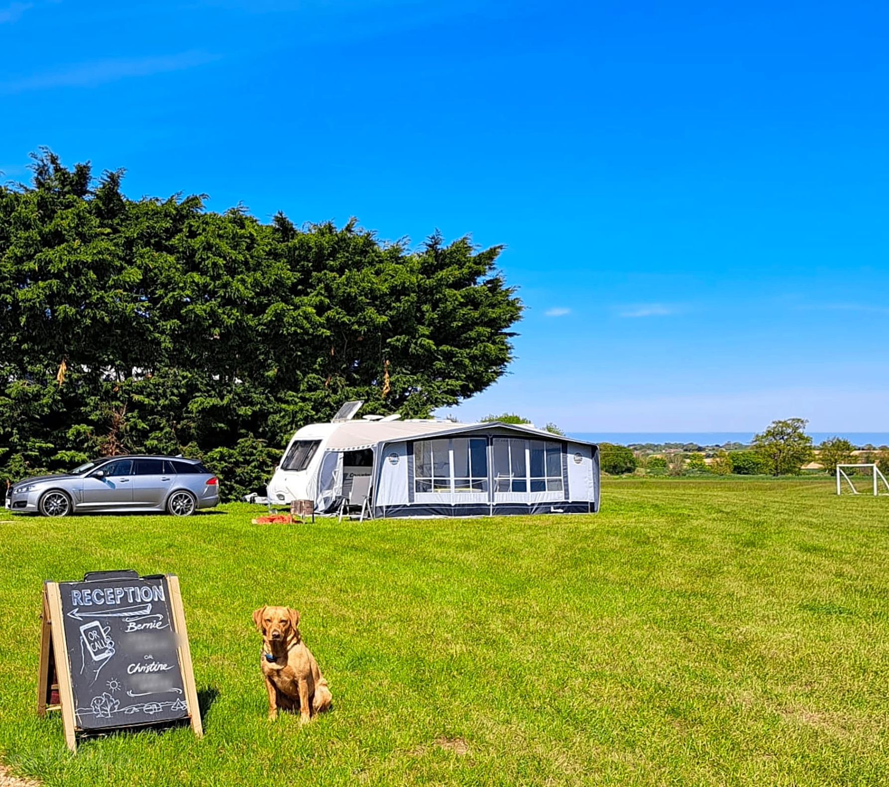 Reception with caravan and resident dog